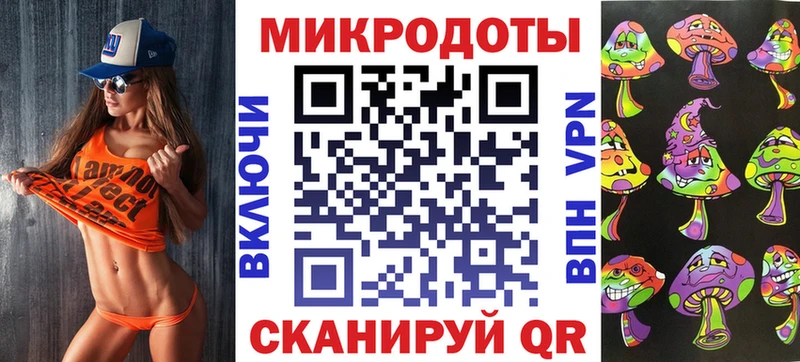 где можно купить   Райчихинск  Псилоцибиновые грибы Psilocybine cubensis 